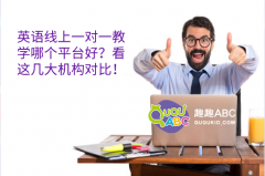 英語線上一對一教學哪個平臺好？看這幾大機構對比！