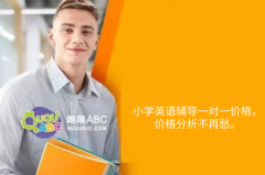 小學(xué)英語輔導(dǎo)一對(duì)一價(jià)格，價(jià)格分析不再愁。